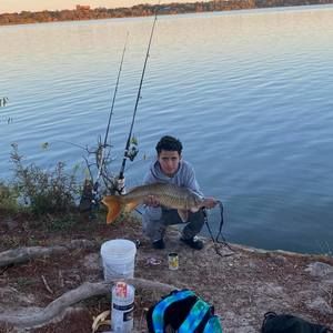 Meet your Posher, Freddy